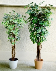 040 Veštačka stabla bendžamina